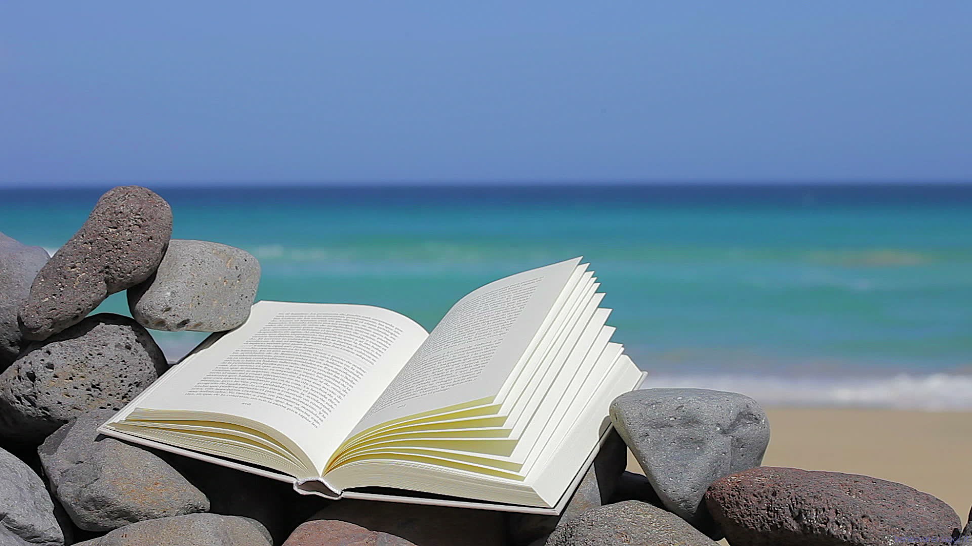 10 libri che dovreste leggere quest’estate