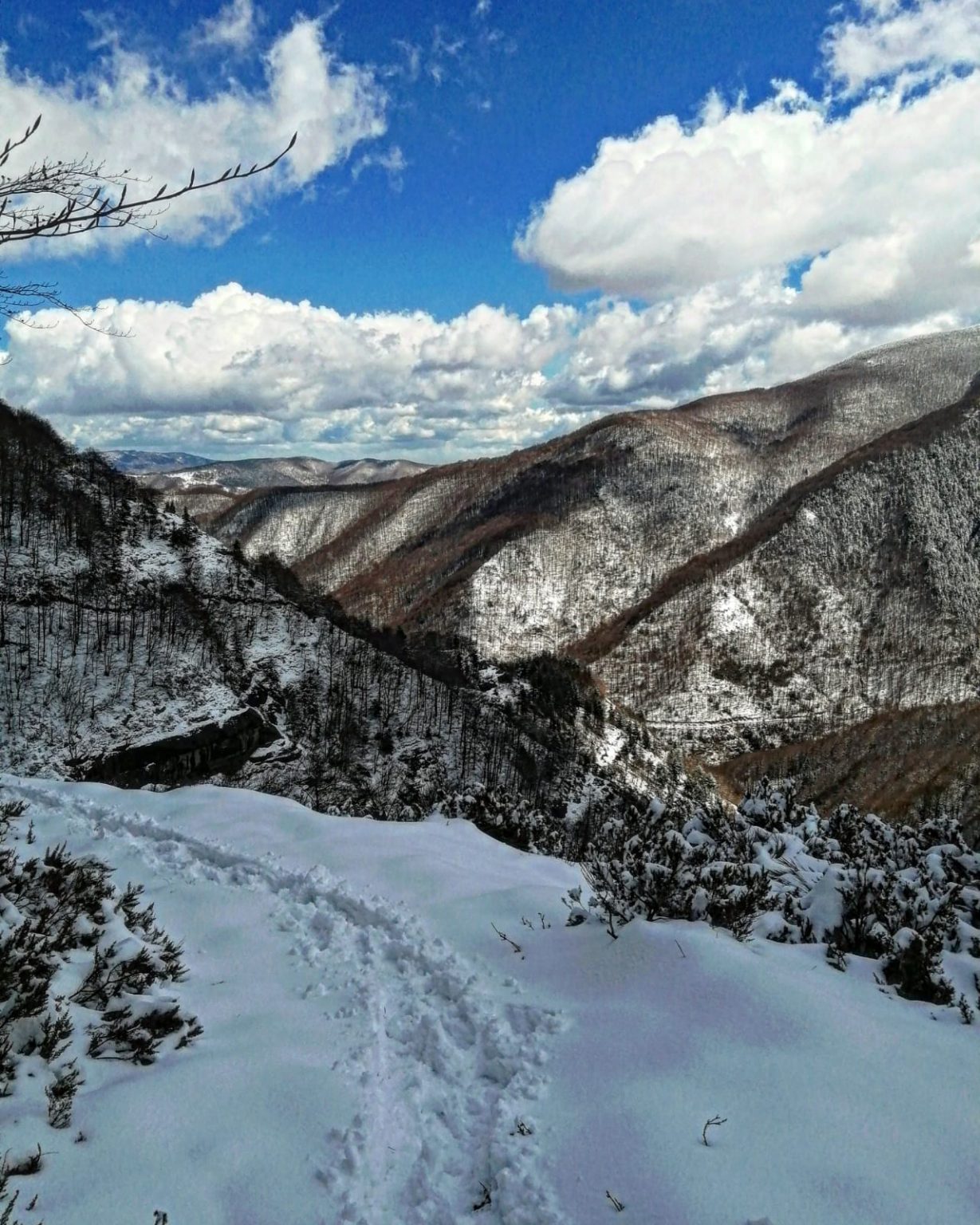 Foresta San Gerbone - panorama2 (2)