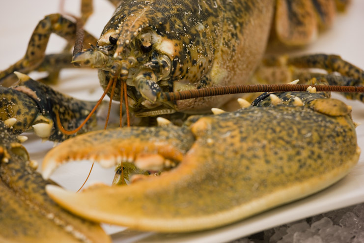Ristorante Posillipo 2