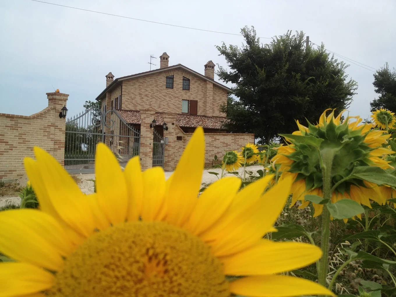 marchetravelling-strutture-interno-agriturismo-bio-verde-montemarciano-01