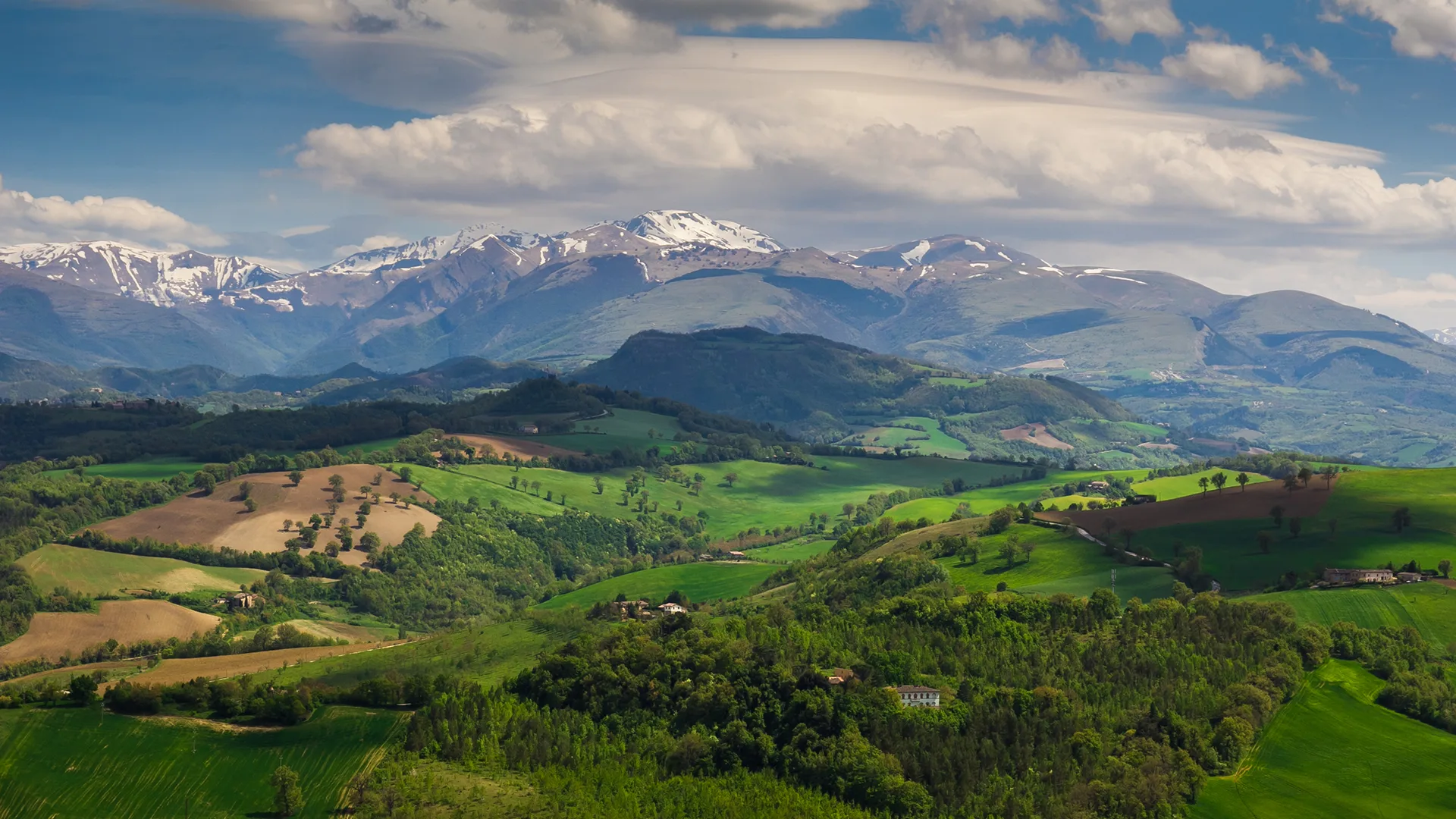 parcoel4